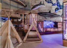 The Club at Solaz Luxury Villas 2