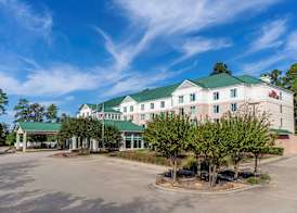 Hilton Garden Inn Houston/The Woodlands 2