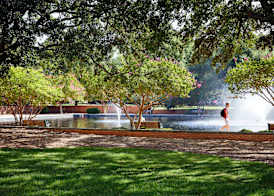 Graduate by Hilton Columbia SC 3