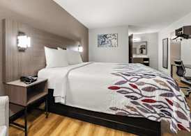 Red Roof Inn Memphis - Graceland Airport 5