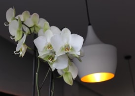 Hostal Baleàric 5