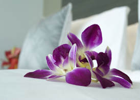 ibis Semarang Simpang Lima 3
