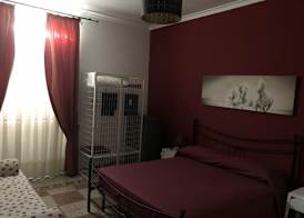 B&B Da Ponticello 2