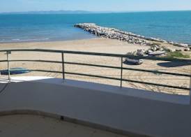 Palm Hotel 4