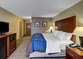 COMFORT INN & SUITES PLANO EAST 4