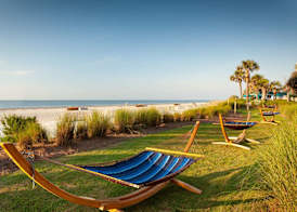 Hilton Beachfront Resort & Spa Hilton Head Island 3