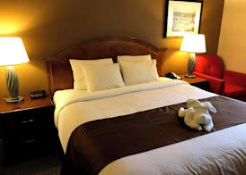 Americas Best Value Inn Lynnwood 4