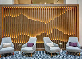The Cincinnatian Curio Collection by Hilton 4
