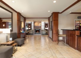 Staybridge Suites TAMPA EAST- BRANDON by IHG 4