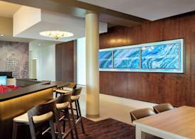 SpringHill Suites by Marriott Philadelphia Airport / Ridley Park 5