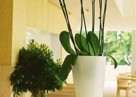 INLIMA Hotel & Spa 2