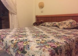Hotel Viola 4