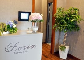 Borea Luxury B&B 3