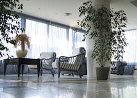 Hotel Cavalluccio Marino 3