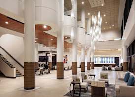 Marriott Orlando Airport Lakeside 4