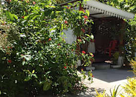 Coco Bay Guest House 5