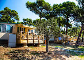 Arena Indije Campsite 4