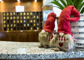 Club Hotel Solaris 2