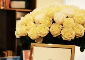 Hotel Mimosa 3