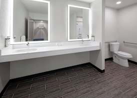 Holiday Inn Express & Suites WYOMISSING by IHG 3