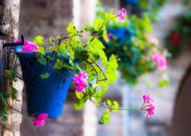 Villa Conmigo Bed & Breakfast 4