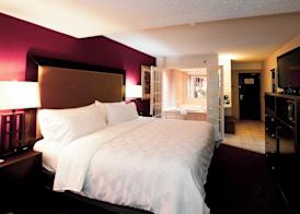 Holiday Inn & Suites ST. CATHARINES CONF CTR by IHG 3