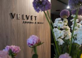 VELVET rooms & more 3