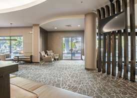 SpringHill Suites Gainesville 2
