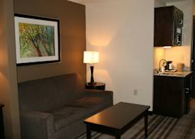 Holiday Inn Express & Suites NEVADA by IHG 5