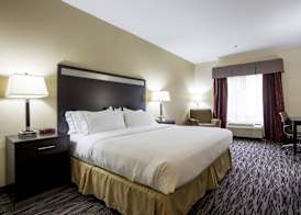 Holiday Inn Express & Suites CAMDEN-I20 (HWY 521) by IHG 3
