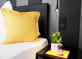 Hotel Blauer Fasan 5