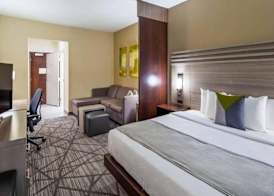 Comfort Inn & Suites Houston I-45 North - IAH 4