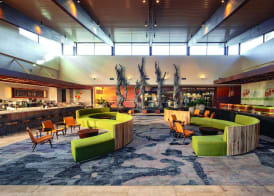 Universal’s Endless Summer Resort – Dockside Inn and Suites 2