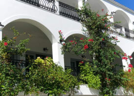 Athina 5
