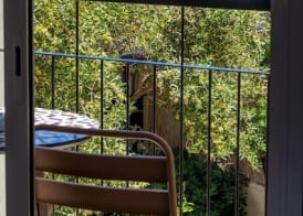 Boutique Apartments Marsol Ibiza 5