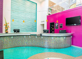 Oasis Hotel & Conv. Center, an Ascend Collection Hotel 4