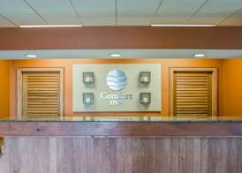 Comfort Inn - NYS Fairgrounds 4
