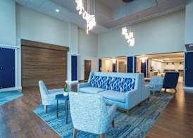 Holiday Inn Express & Suites TAMPA NORTHWEST-OLDSMAR by IHG 4