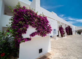 Th Ostuni 4