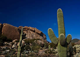 Boulders Resort & Spa Scottsdale, Curio Collection by Hilton 2