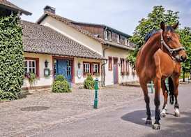 Der Linslerhof - Hotel, Restaurant, Events & Natur 3