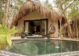 The Yellow Nest Tulum 5