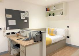 Student Only Great Patrick Street 5