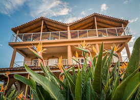 Armonia Boutique Hotel 3