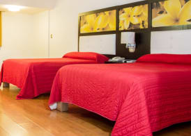 Hotel María Dolores San Luis Potosí 5