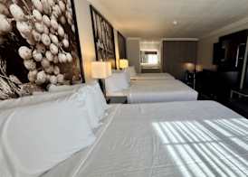 The Orchard Hotel Ukiah Wine Country Free Breakfast, Pool, & Hot Tub 3