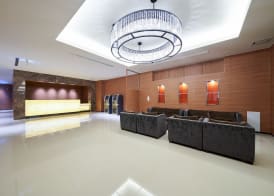 Welina Hotel Premier Shinsaibashi 5
