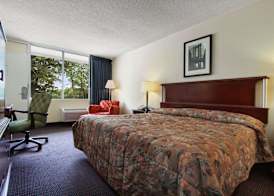 Super 8 by Wyndham Dover 4