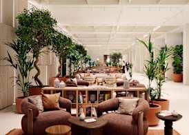 Arba Resort, Valamar Collection 4