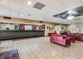 Red Carpet Inn Hazleton 5